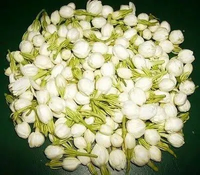 Malli Jasmine Flowers